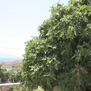Apartament Condo Rentals, Saranda